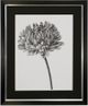 Stylecraft Black/Light Gray/White Framed Print-0