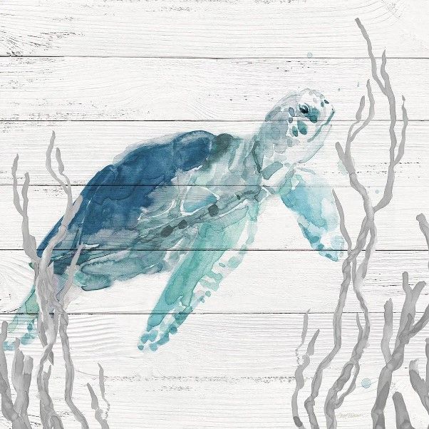 Classy Art Aqua Turtle I by Carol Robinson Wall Art-0