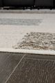 Signature Design by Ashley® Barus 5' x 7' Area Rug-2