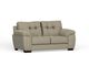 Buster Gray Loveseat-0