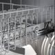 Bosch® 800 Series 24" Panel Ready Top Control Built-In Dishwasher-2