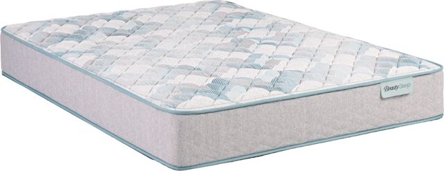 BeautySleep® Dream Weaver™ 12.5" Pocketed Coil Firm Quilted Tight Top Queen Mattress-0