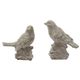 A & B Home 2-Piece Gray Watchful Birds-0