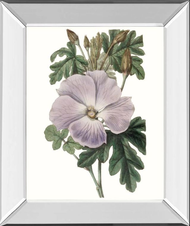 Classy Art Lavender Beauties I by Edwards Mirror Framed Wall Art-0