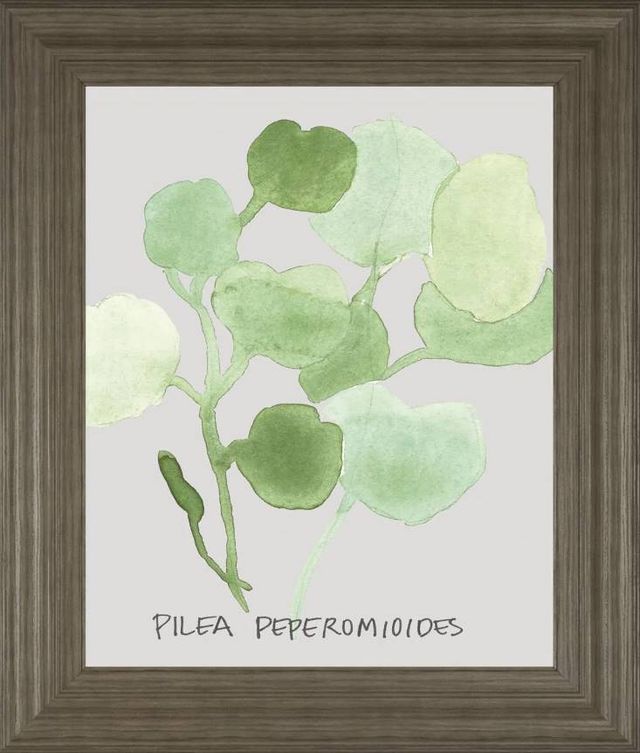 Classy Art Pilea Peperomioides by Katrien Soeffers Wall Art-0