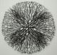 A & B Home Carlos Black/White Shadow Box Wall Decor-3