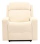 Synergy® 2580 Nomad Snow Power Auto Glider Recliner-1