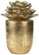 A & B Home Gold 6" Succulent Figurine-0