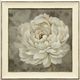 Stylecraft Blooming In Neutral III Gold/Gray Wall Art-0