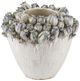 Currey & Company Poppy Pod Crown Ivory/Reactive Blue Medium Vase-0