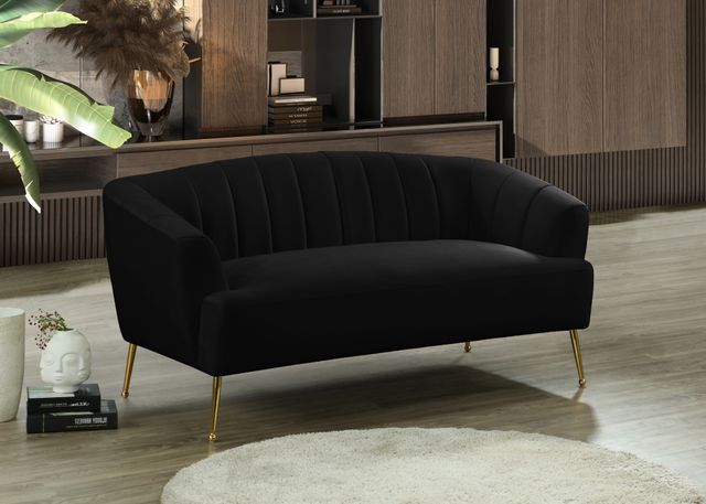 Meridian Furniture Tori Black Velvet Loveseat-1