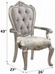 ACME Furniture Ariadne 2-Piece Antique Platinum/Beige Arm Chair Set-2