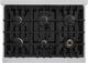 ZLINE Select 36" Stainless Steel Pro Style Gas Range with Black Matte Door-4