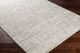 Surya Gavic Beige/Gray 4'x6' Area Rug-3