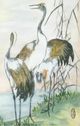 Stylecraft Dann Foley Lifestyle Oriental Cranes I Black/Green/White Wall Art-1
