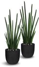 Le Present Sansevieria Green Faux Botanical Cylindrica-1