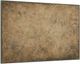Renwil® Acacia Wall Art-2