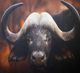 Stylecraft Black/Brown Wall Art-1