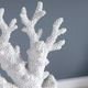 Crestview Collection Natural Coral White Statue-3