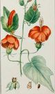 Stylecraft Green/Light Green/Off-White/Orange Wall Art-1