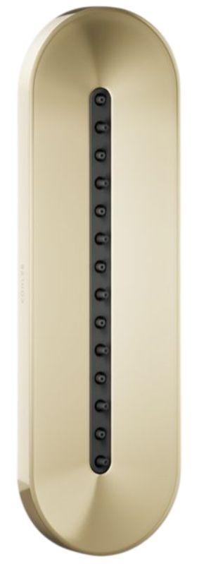 KOHLER® Statement® Vibrant French Gold 1.75 GPM Oblong Vichy Single-Function Body Spray-0
