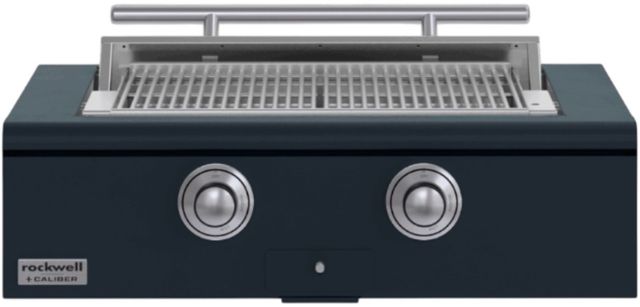 Caliber™ Rockwell 2-Burner Juniper Built-In Liquid Propane Grill with Stainless Steel Hardware-0
