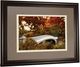 Classy Living Tom Reeves Bow Bridge Framed Wall Art-2