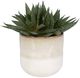 Uttermost® Doha Green Succulent Accent Artificial Foliage-0