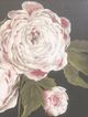 Stylecraft Blush in the Dark Wall Art-1