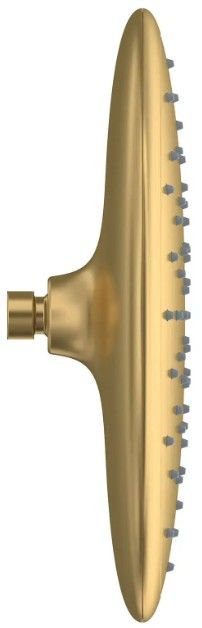 American Standard Spectra® Brushed Cool Sunrise Water-Saving Rain Showerhead-2