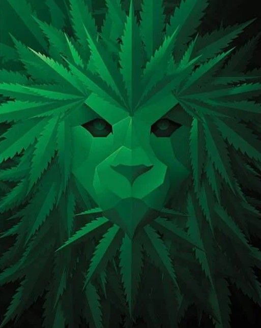 Classy Art Green Lion by JG Studios Green Wall Art-0