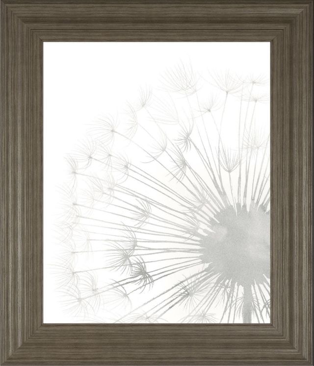 Classy Living Grace Popp Dandelion Whisper II Wall Art-0
