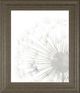 Classy Living Grace Popp Dandelion Whisper II Wall Art-0