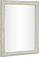 TOV Furniture Orpheus Antique White Rectangular Wall Mirror-3