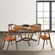Armen Living Santana 2-Piece Orange Dining Chair Set-1