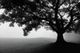 Stylecraft Black/Light Gray Wall Art-1