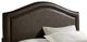 Standard Furniture Simplicity Brown Camel Back Upholstered Bed-1