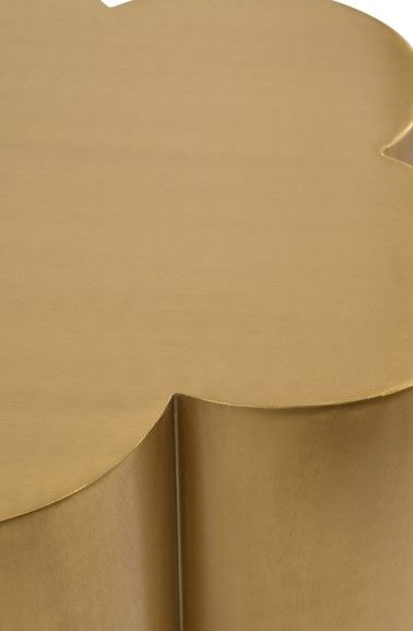 Meridian Furniture Lucky Brushed Gold End Table-3