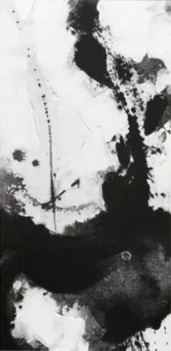 Stylecraft Soul Dance I Black/White Wall Art-1