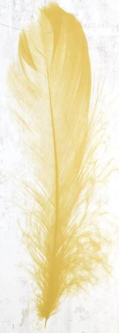 Classy Art Yellow Feather Wall Art-1