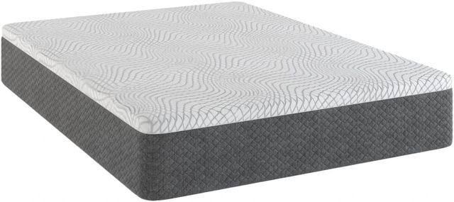 Sherwood® Bedding XXV Selene Doce 12" Gel Memory Foam Medium Tight Top Twin Mattress in a Box-0