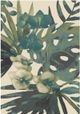 KAS Rugs Stella Ivory/Green Tropical 5'x8' Area Rug-0