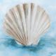 Stylecraft Coastal Calm II Wall Art-1