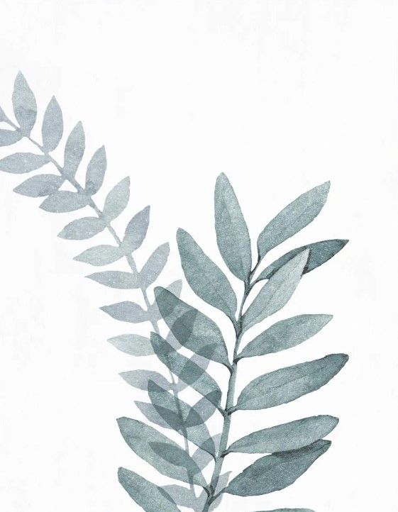 Classy Art Blue Botanical Wash II by Conrad Knutsen Wall Art-2