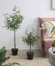 A & B Home Green 25" Artificial Olive Tree with Fruit-5