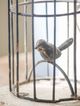 A & B Home Black Birdcage Bookends-5