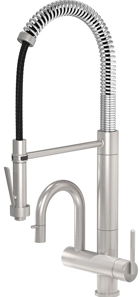Franke Professional Satin Nickel Dual Spout Kitchen Faucet
