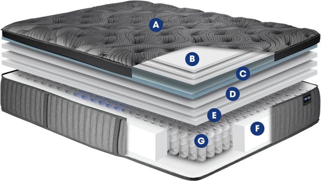 Spring Air® Back Supporter Katrina 16" Hybrid Plush Euro Top Twin Mattress-2