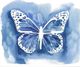 Classy Living Grace Popp Butterfly Inkling Wall Art-1