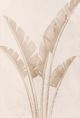 StyleCraft Palms l Wall Art-1